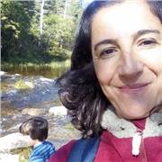 Cursos a nivel de secundaria y Universidad